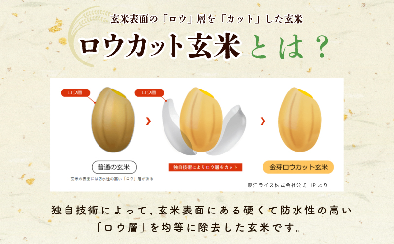 金芽ロウカット玄米4kg（2kg×2袋）【東洋ライス 2kg×2P お米 米 こめ 国産 小分け】 099H202