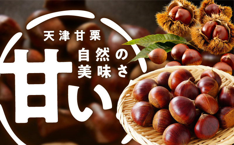 当店自慢の天津甘栗 800g【小分け 400g×2P お菓子 おつまみ 人気 甘味料不使用】 099H2328