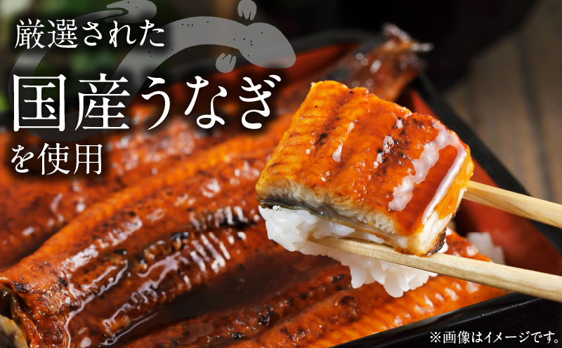 国産うなぎ 大サイズ 180g×1尾【タレ 山椒付き 有頭 炭火 蒲焼 鰻】 099H2332