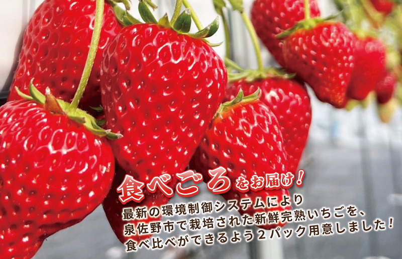 完熟新鮮 いちご食べ比べ 4パック 合計1080g以上 099H2855