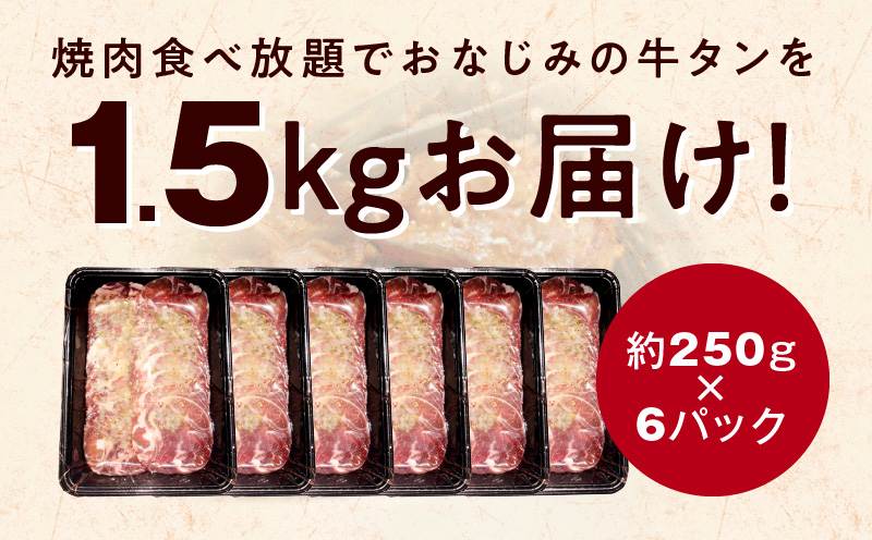 牛たん 1.5kg ねぎ塩味 小分け 250g×6【成型 牛タン 牛肉 焼肉 BBQ 薄切り ぎゅうたん スライス 訳あり サイズ不揃い 期間限定 家計応援】 099H4048