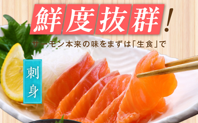 【数量限定】お刺身用 サーモン 2kg ブロック 小分け 約250g×8P ポーション 柵 訳あり サイズ不揃い kgp0049