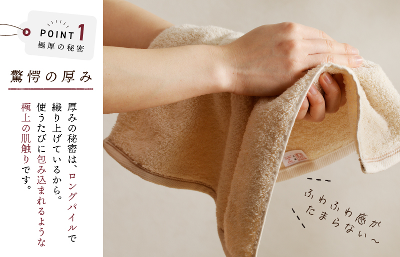 極厚ハンドタオル 10枚 生成色【泉州タオル 国産 吸水 普段使い シンプル 日用品 家族 ファミリー】 099H2377