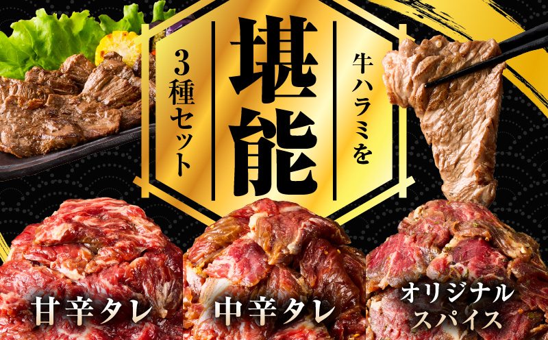 【満足牛ハラミ】3種セット （甘辛タレ漬け・中辛タレ漬け・オリジナルスパイス仕込み）  合計3kg 【味付け ハラミ 小分け 焼くだけ 簡単調理 BBQ 牛肉 250g×12P 普段使い】 099H4191