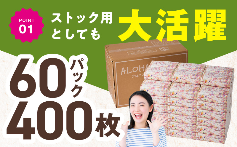 【定期便】 ソフトパックティッシュ400枚×60パック & トイレットペーパー シングル 85M巻×64ロールセット【生活用品 雑貨 日用品 必需品 常備品 まとめ買い 備蓄 防災】 099Z507
