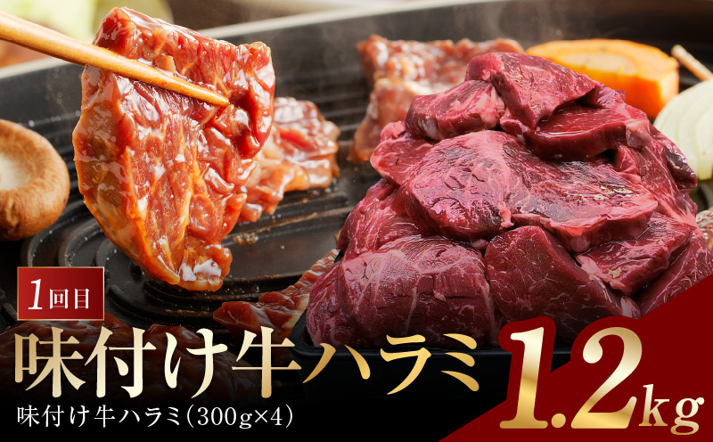 アキラ商店 肉三昧 わくわく 定期便 全5回【毎月配送コース お楽しみ 焼肉 ていきびん 焼くだけ 小分け BBQ やきにく 数量限定】 099Z128