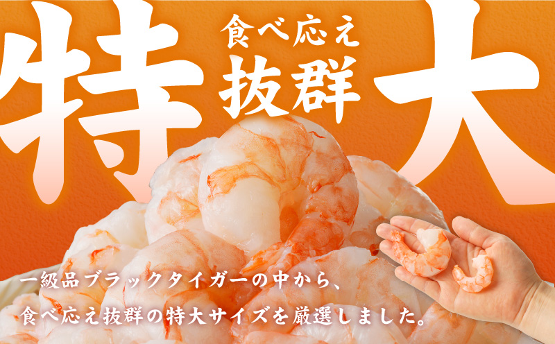 特大ブラックタイガー 定期便 1kg×全6回 むきえび 30-40尾 背ワタなし【毎月配送コース】 kgp0114