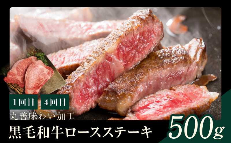 黒毛和牛 定期便 全6回 （ステーキ／焼肉／すき焼き・しゃぶしゃぶ） 12万円コース 丸善味わい加工【毎月配送コース】 mrzZ004