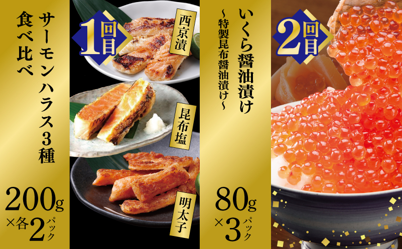 【北国からの贈り物】厳選 海鮮定期便 全6回【食べ比べ かに サーモン いくら うなぎ 人気 ていきびん お楽しみ 毎月配送コース】 099Z419