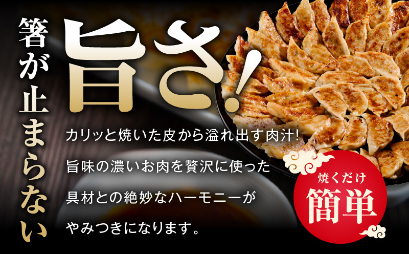 シン餃子 150個 + 圧倒的企業努力 サーロインステーキ 250g【手作り 小分け 25個×6P 惣菜 焼くだけ 簡単調理 おつまみ SDGS】 G3661-1