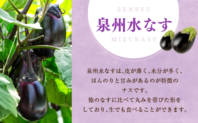 【先行予約】特選 無添加 水なす漬け 8個【新鮮 野菜 泉佐野産 茄子 やさい TONOファーム 高評価 数量限定】 010B139