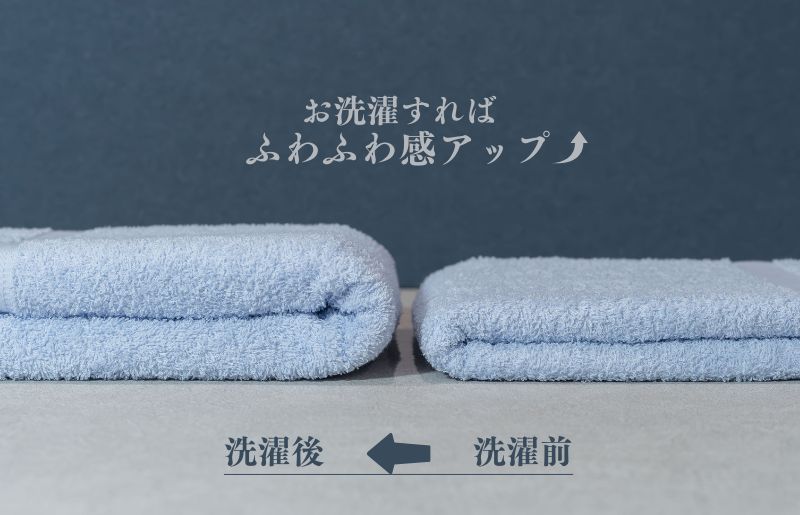 カラーバスタオル 4枚 （ブルー）【泉州タオル 国産 吸水 普段使い シンプル 日用品 家族 ファミリー】 099H3695