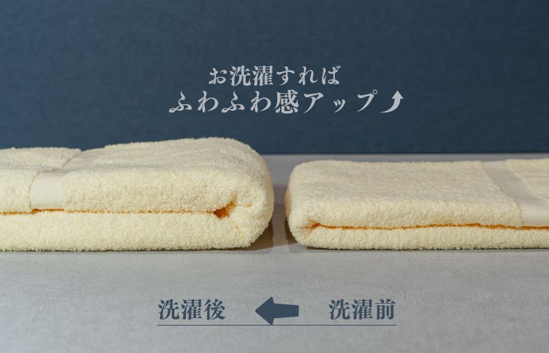 カラーバスタオル 4枚 （イエロー）【泉州タオル 国産 吸水 普段使い シンプル 日用品 家族 ファミリー】 099H3696