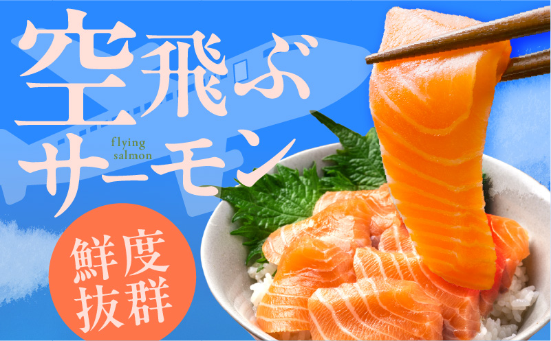 アトランティックサーモン 総量 1kg以上＋はしっこ100g【フィレ エコパック 訳あり サイズ不揃い 刺身 さーもん 冷凍 北国からの贈り物】 015B474-2