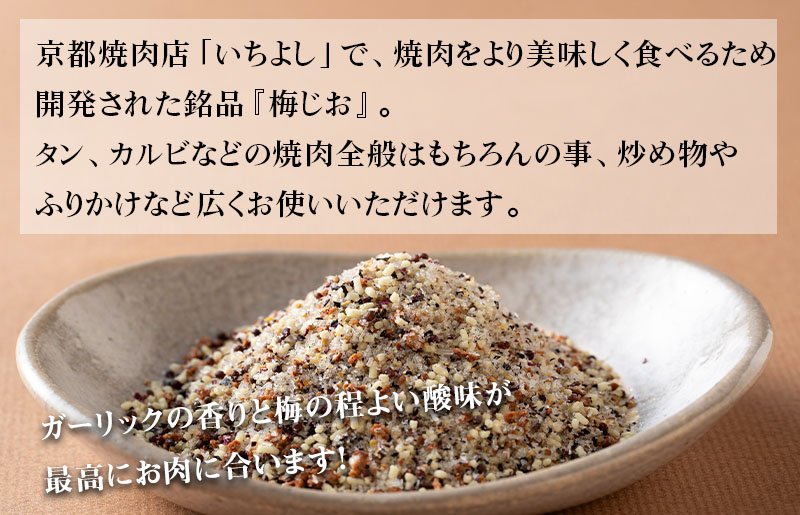 焼き肉専門店 梅じお ガーリック スパイス 90g×1袋 お試し W118