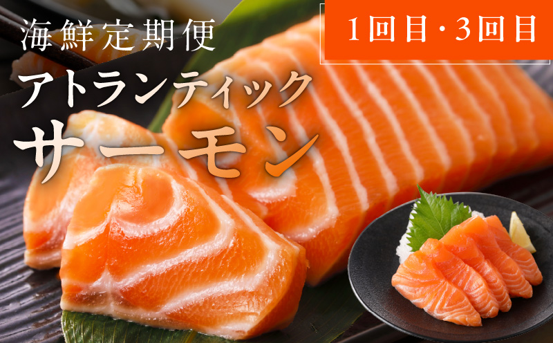 人気海鮮定期便 サーモン／真鯛 食べ比べ 全4回【毎月配送コース 小分け 訳あり サイズ不揃い 刺身 海鮮丼 人気 オススメ 冷凍】】 nbj0005