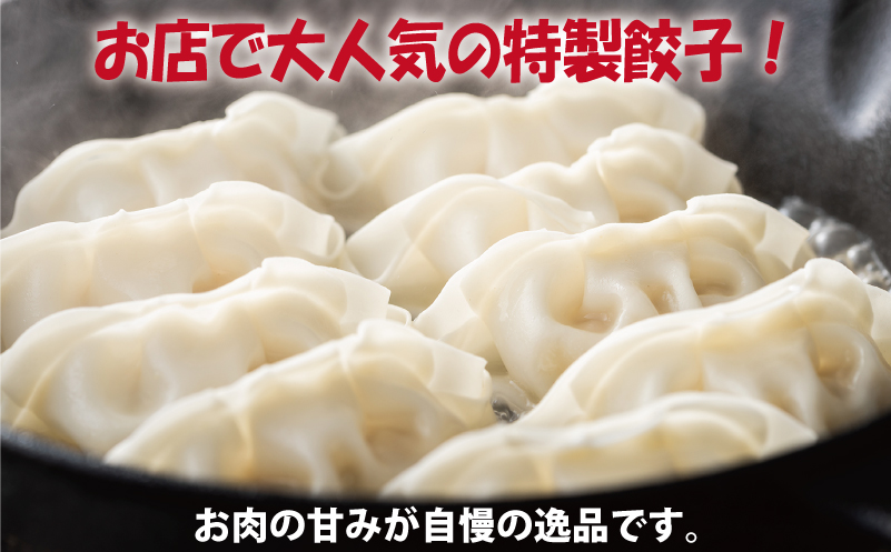 【泉佐野ブランド豚】犬鳴豚餃子 75個 (25個×3袋) 099H3920