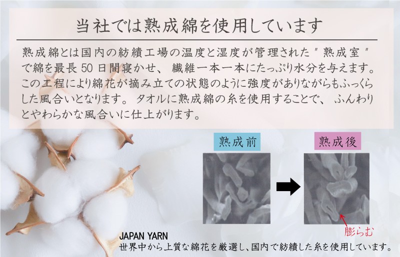 普段使いにぴったりのミニバスタオル 5枚【サックス 泉州タオル 高品質 綿100％ 日本製 国産 単色 シンプル】 knt0070