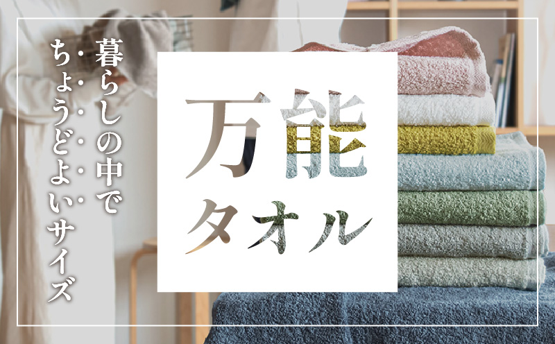 ファミーユ ミニバスタオル 6枚（グレー）【フェイスタオル 以上 バスタオル 未満 泉州タオル 吸水 普段使い シンプル 日用品 たおる】 G2616
