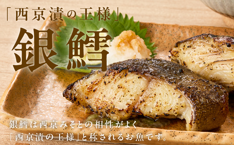 銀鱈 西京漬け 80g×20切れ【小分け 熟成 銀だら ぎんだら ギンダラ 海産物 魚 惣菜 西京焼き 味噌 お酒のあて 訳あり サイズ不揃い 家計応援 切り落とし】 kgp0098