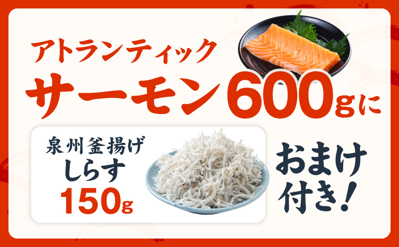 アトランティックサーモン 600g+おまけしらす150g【小分け ポーション 柵切 しらす シラス sirasu 刺身 魚介 海鮮 さーもん 生食 お試し】 G3805