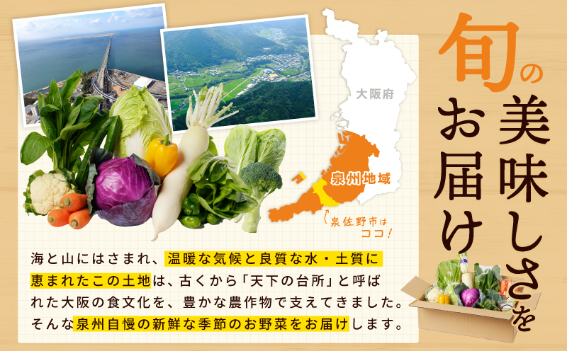 【スピード発送】季節の泉州野菜 7種 おまかせセット ピクルスの素 1袋付き いずみピクルス NSW 005A609