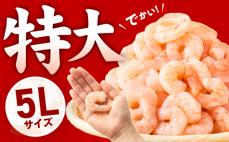 【定期便】むきえび 総量 1.7kg 特大5Lサイズ【下処理不要 小分け 850g×2P 訳あり サイズ不揃い バナメイエビ バラ凍結 2026年3月＆6月発送 全2回】 kgpZ004