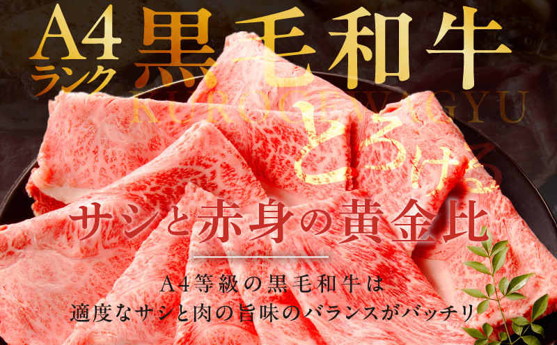 A4ランク 黒毛和牛 すきしゃぶ用 500g【氷温熟成×極味付け すき焼き しゃぶしゃぶ 切り落とし スライス 牛肉 訳あり サイズ不揃い 家計応援】 mrz0264