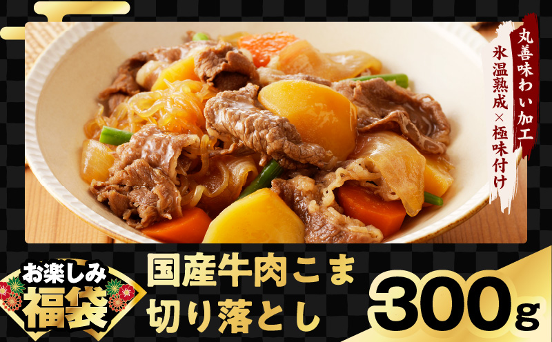 肉福袋 4種 1.9kg 焼肉セット（牛肉 切り落とし／牛ハラミ／豚肉 スペアリブ／鶏肉）【氷温熟成×極味付け 焼くだけ 食べ比べ ふくぶくろ お楽しみ 簡単調理】 mrz0327