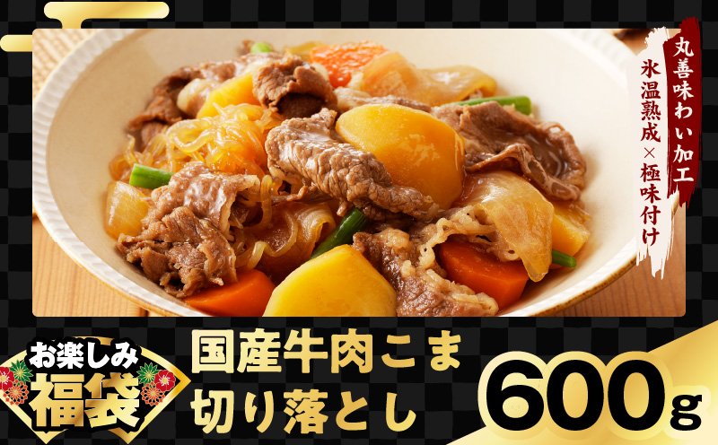 肉福袋 4種 3.8kg 焼肉セット（牛肉 切り落とし／牛ハラミ／豚肉 スペアリブ／鶏肉）【氷温熟成×極味付け 焼くだけ 食べ比べ ふくぶくろ お楽しみ 簡単調理】 mrz0328