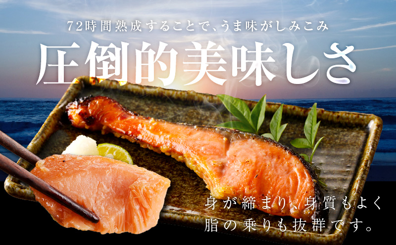 熟成 銀鮭 西京漬け 110g×12切れ 切り落とし 訳あり サイズ不揃い kgp0058