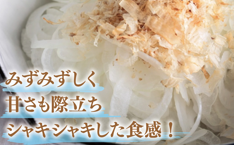 【先行予約】泉州たまねぎ 3.5kg【超極早生 玉ねぎ 農家直送 新鮮 野菜 やさい 期間限定】 005A737