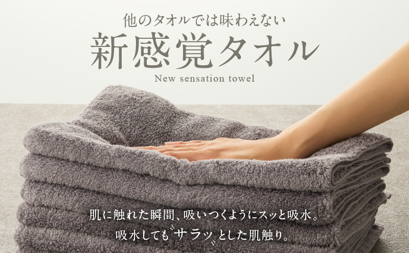 めっちゃええや～ん24 フェイスタオル 6枚 パープルグレー【国産 吸水 普段使い 無地 シンプル 日用品 家族 ファミリー 普段使い】 099H4272