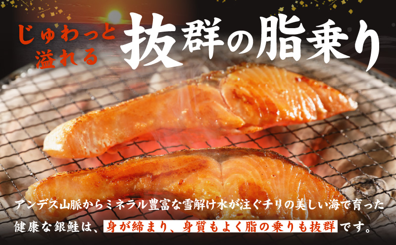 銀鮭切り身 1kg＆特大ブラックタイガー 500g【鮭 さけ しゃけ お弁当 むきえび お試し 簡単調理 背ワタなし 訳あり サイズ不揃い 冷凍 時短 エビ 海鮮】 kgp0119