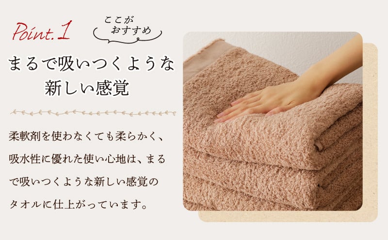 MAISON BLANC バスタオル テラコッタ 4枚【タオル 泉州タオル 単色 吸水 普段使い 無地 シンプル 日用品 ふわふわ ふかふか 家族 ファミリー】 099H3319