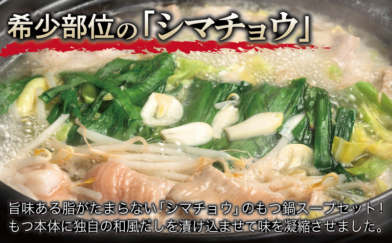 牛もつ鍋セット スープ付 約3人前【味付け 小分け 牛肉 ホルモン 醤油ベーススープ 簡単調理 お試し 普段使い】 099H4211