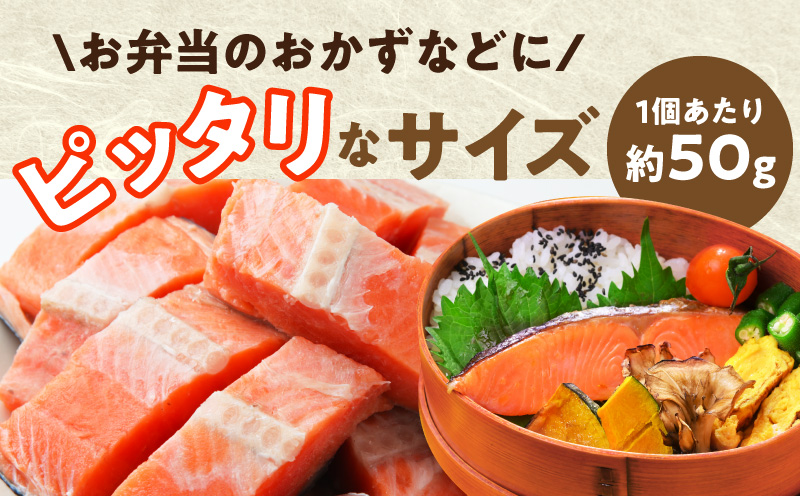 【定期便】銀鮭 切身 約50g×20切れ 全2回【2026年3月＆2026年6月発送 小分け 漁師 手切り 1kg さけ サケ 切り身 弁当 朝食 時短 訳あり サイズ不揃い 規格外 冷凍食品】 G3736
