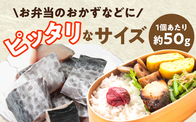 【定期便】さわら 切身 約50g×20切れ 全2回【2026年3月＆2026年6月発送 小分け 漁師 手切り 1kg 泉州 鰆 切り身 弁当 朝食 時短 訳あり サイズ不揃い 規格外 冷凍食品 圧倒的企業努力】 G3737-1