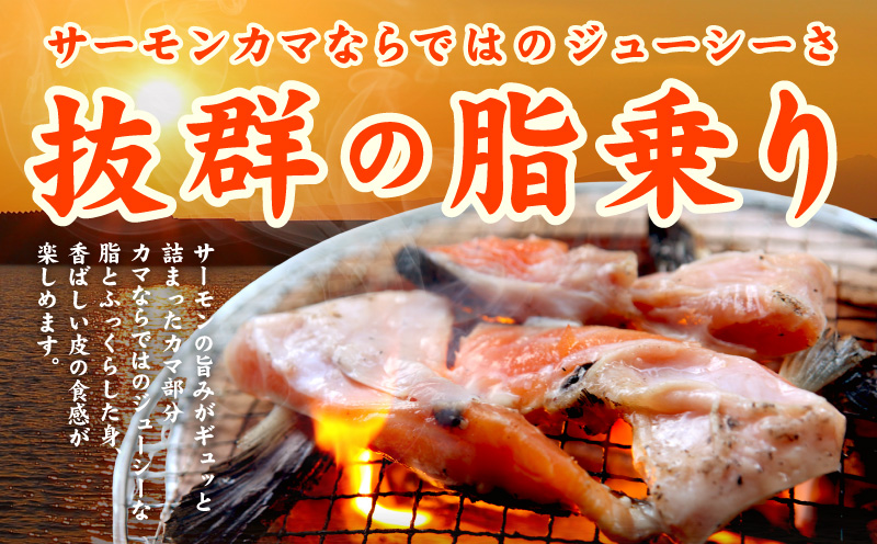 サーモン カマ 600g（約10-12切れ）【カマ 尻尾 小分け 海鮮 魚介 鮭 さけ しゃけ】 G3800