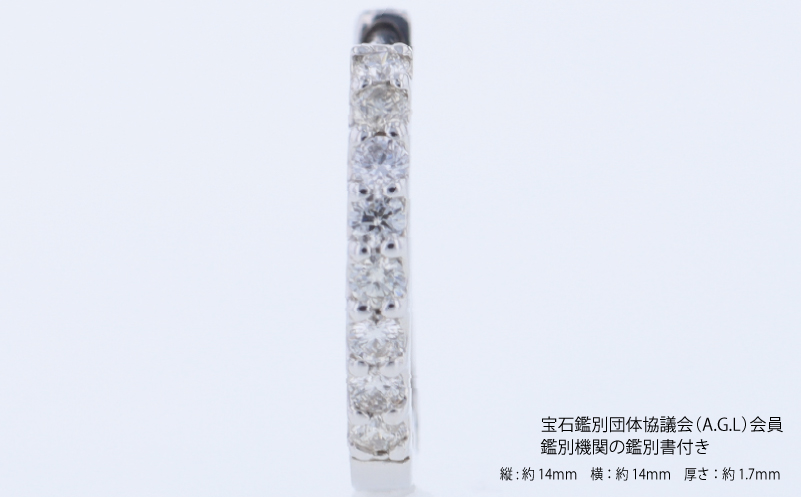 ARC-EN-CIEL PTダイヤピアス（計 0.20ct） J088