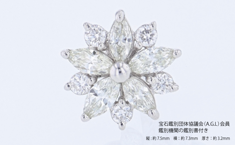 ARC-EN-CIEL PTダイヤピアス（計 0.40ct）【鑑別書付き ジュエリー プレゼント ギフト ファッション アクセサリー 贈り物 贈答 お祝い 記念日】 J089