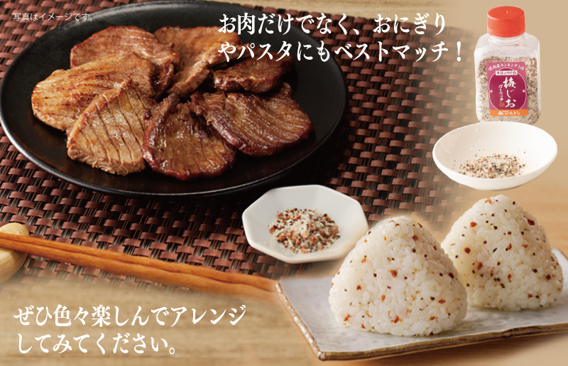 焼き肉専門店の梅じおガーリック 90g×3本セット 005A553