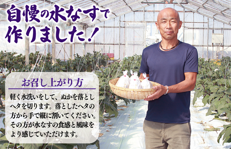 泉州 水なす漬け 6個【ハウス栽培 漬物 新鮮 野菜 泉佐野産 茄子 数量限定】 010B1097