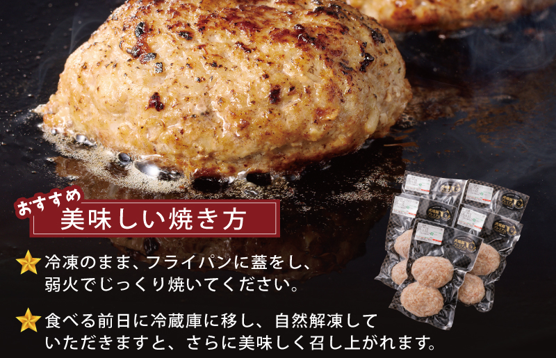 【泉佐野ブランド豚】犬鳴豚の手作りプレミアムハンバーグ（10個入り） 099H3809