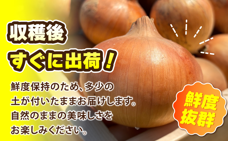 【先行予約】葛葉玉ねぎ 6kg（10～15玉） 010B1773