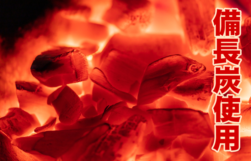 トロ鰹たたき 1.2kg 備長炭仕上げ kgp0014