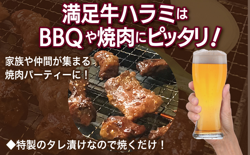 【タレ漬け牛肉2種セット】 満足牛ハラミ・牛肉切り落とし 合計1.5kg【味付け ハラミ 小分け 焼くだけ 簡単調理 BBQ 牛肉 250g×各3P 普段使い】 015B599