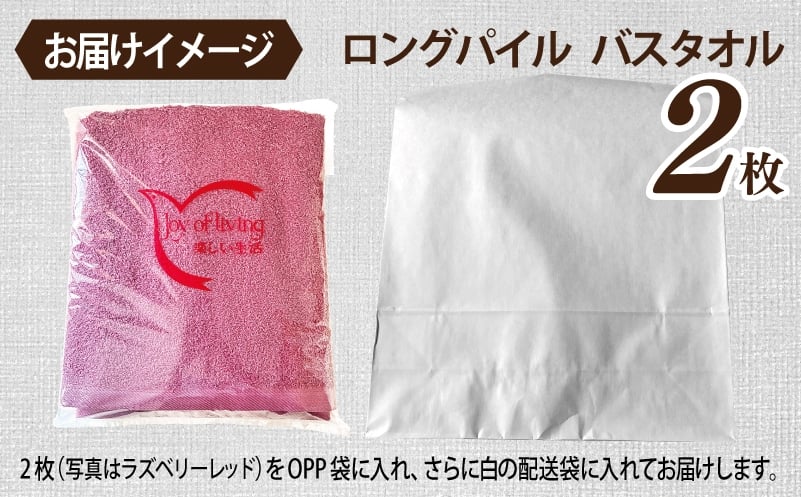 【スピード発送】ロングパイルバスタオル2枚セット(コカブラウン) 泉州タオル 015B571