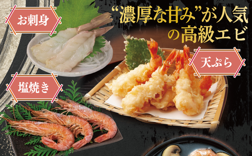 足赤エビ 500ｇ【国産 えび 天然 ぷりぷり 海鮮 水揚げ 生食可】 015B593