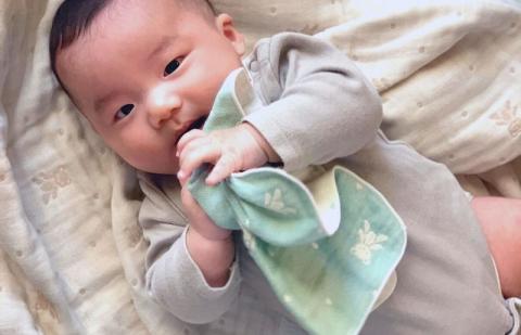 【babybear】多重ガーゼ  miniバスタオルタオル＆ハンカチ 4枚セット（ブルー） G1954